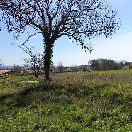 3 Bedroom Beautiful In